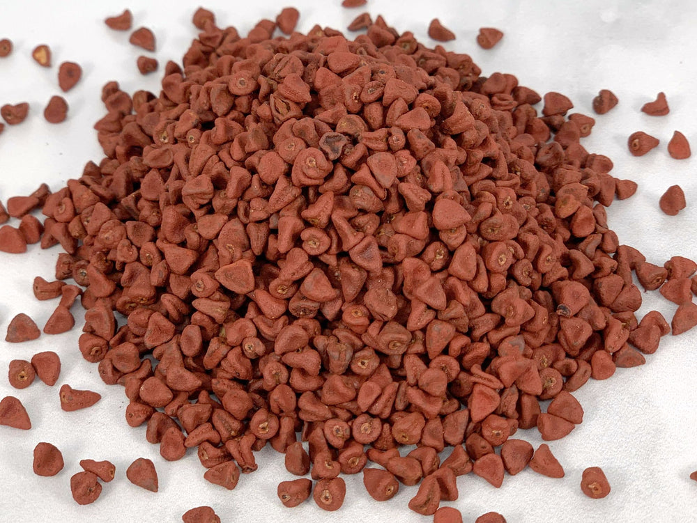 Annatto Seed, Whole