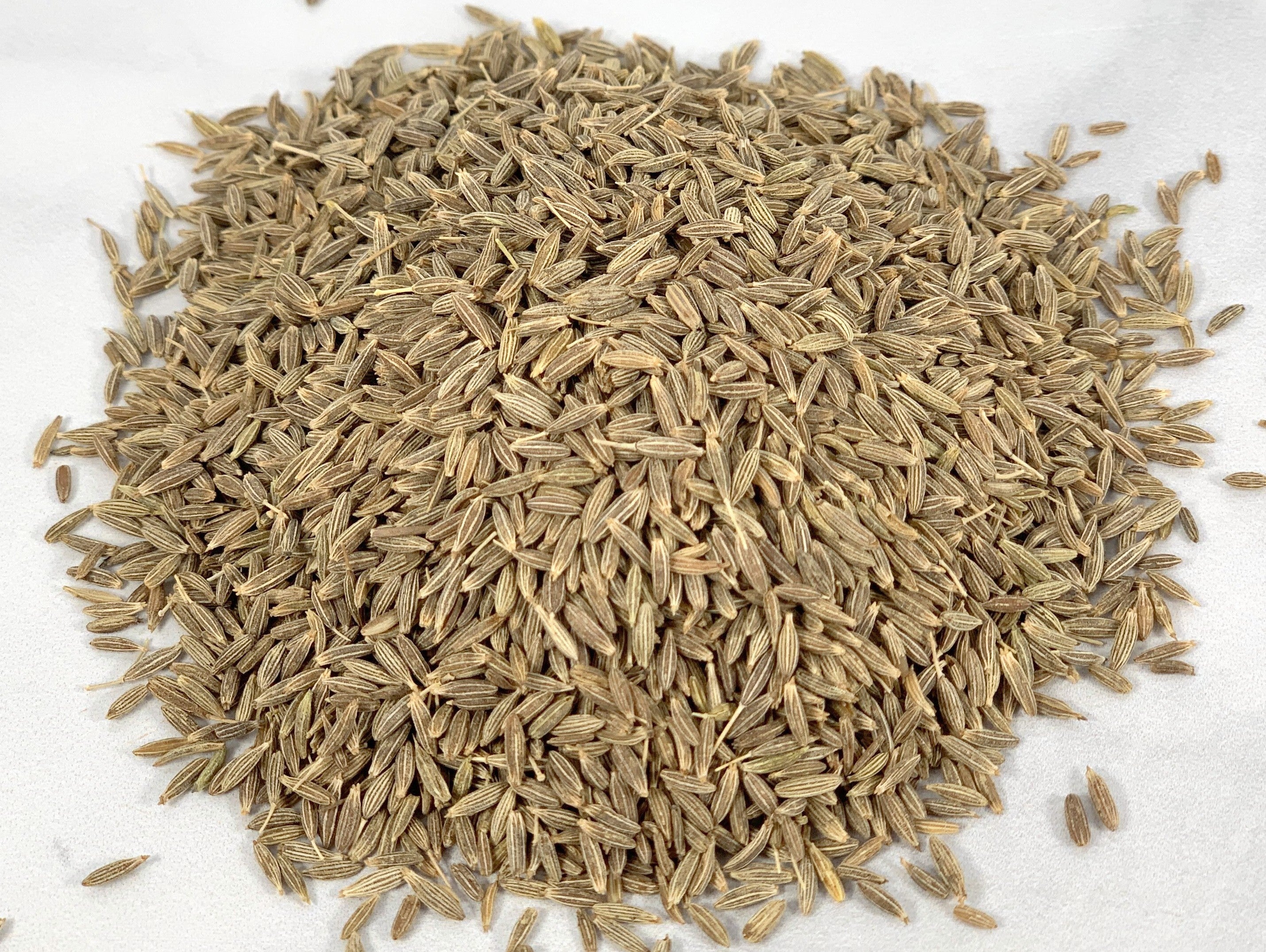 Cumin Seeds - Oaktown Spice Shop