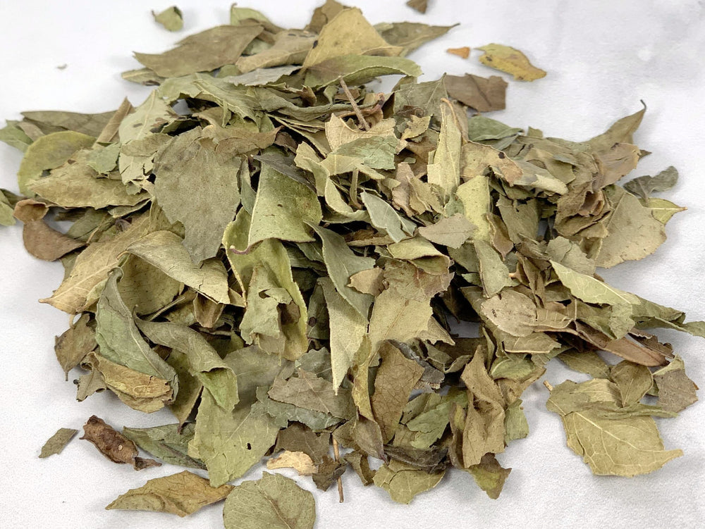 Curry Leaf